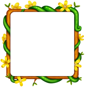 accountIvyFrame icon