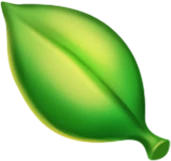 Shrub Leaf Cursor: Taken from a nice shrubbery that wasn't too expensive.